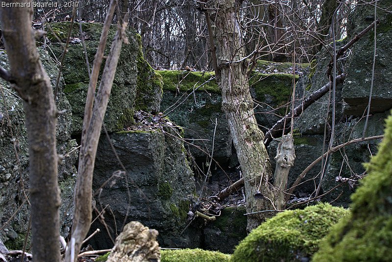 Bernhard Saalfeld - DSC05265 -1.jpg